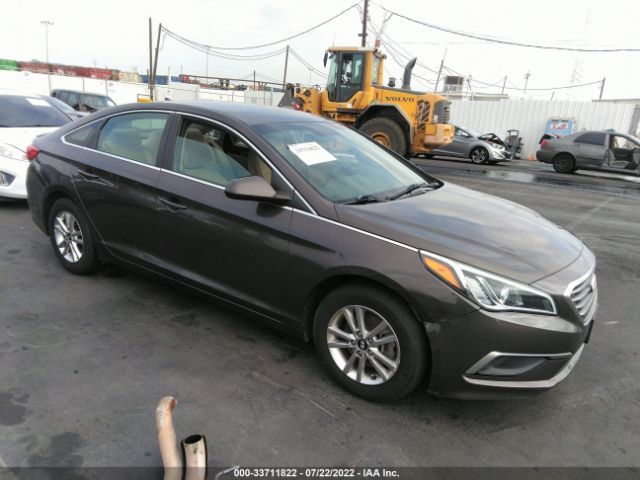 HYUNDAI SONATA 2016 5npe24af9gh395349