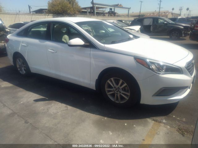 HYUNDAI SONATA 2016 5npe24af9gh399630