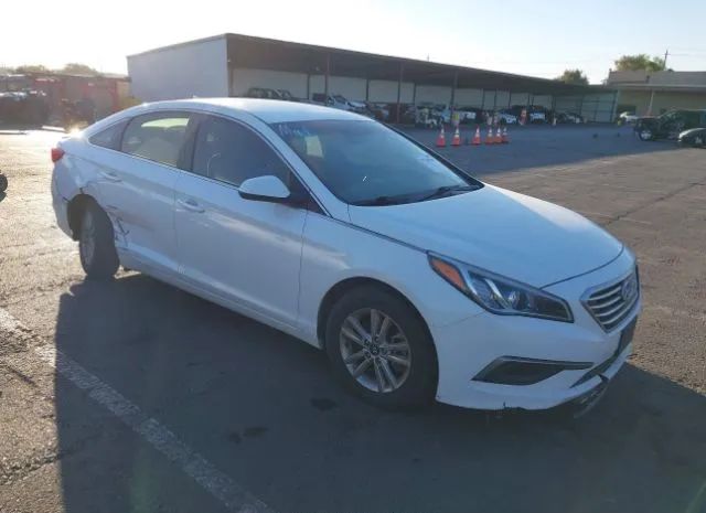 HYUNDAI SONATA 2016 5npe24af9gh403059