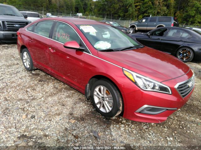 HYUNDAI SONATA 2016 5npe24af9gh407886