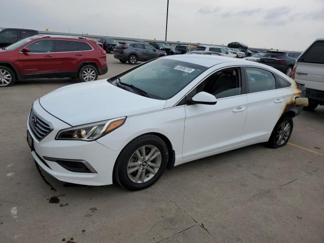 HYUNDAI SONATA SE 2016 5npe24af9gh411839