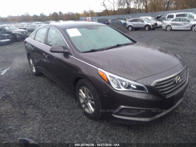 HYUNDAI SONATA 2016 5npe24af9gh413994