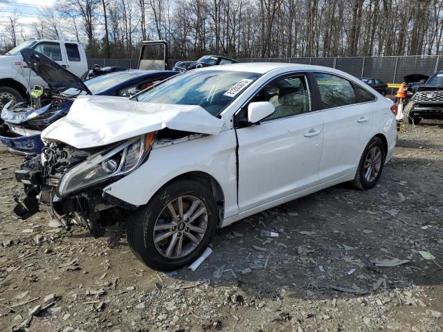 HYUNDAI SONATA 2016 5npe24af9gh418788