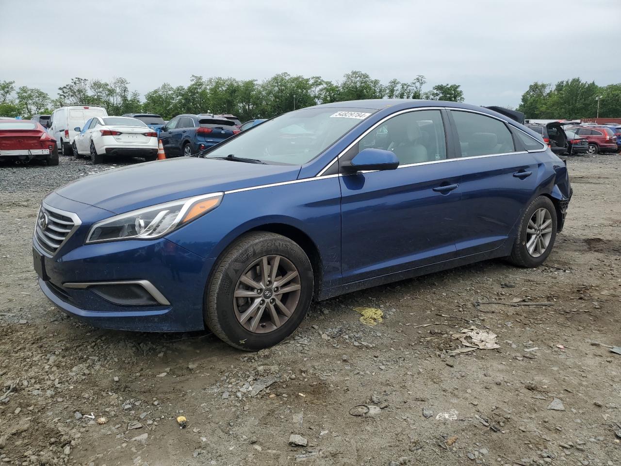 HYUNDAI SONATA 2016 5npe24af9gh425059