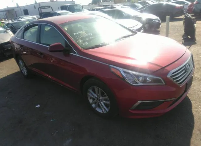 HYUNDAI SONATA 2016 5npe24af9gh431007