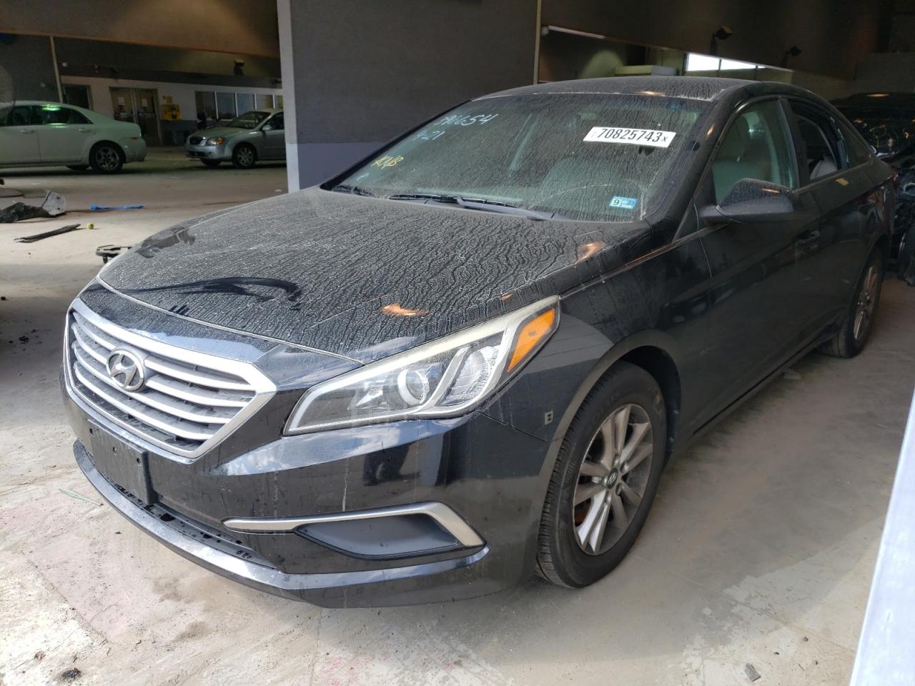 HYUNDAI SONATA 2017 5npe24af9hh443904