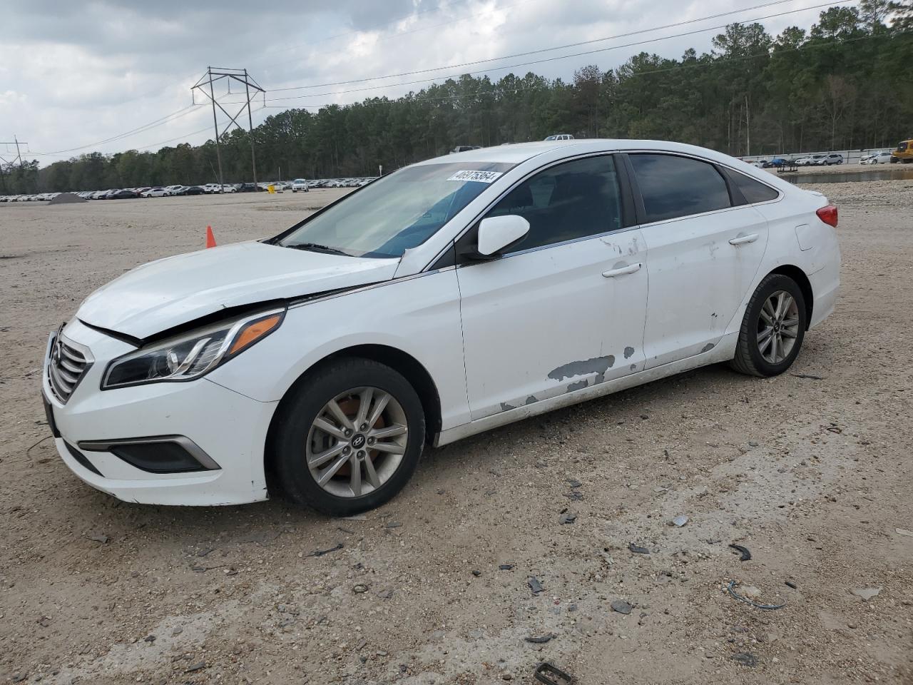 HYUNDAI SONATA 2017 5npe24af9hh491998