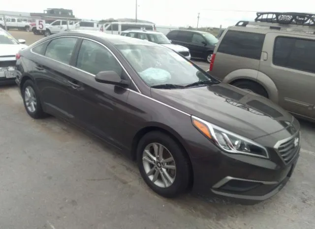 HYUNDAI SONATA 2017 5npe24af9hh493802