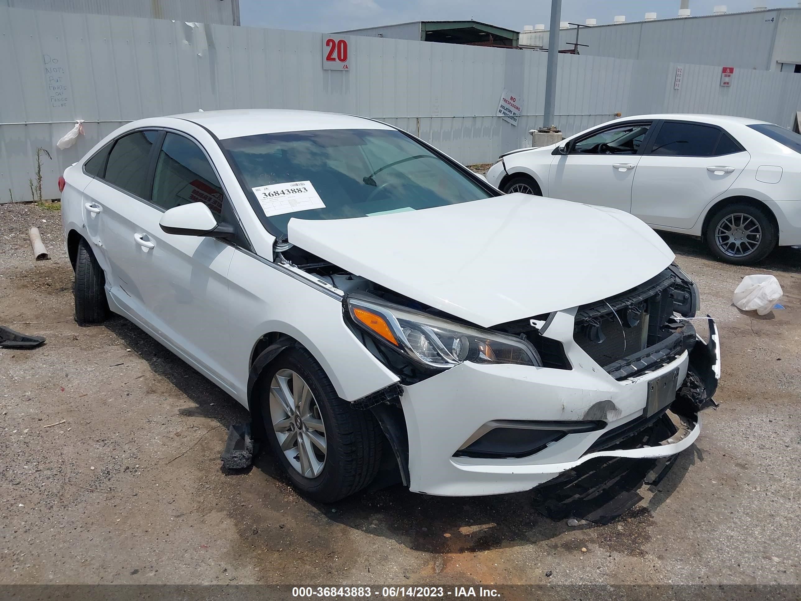 HYUNDAI SONATA 2017 5npe24af9hh511781