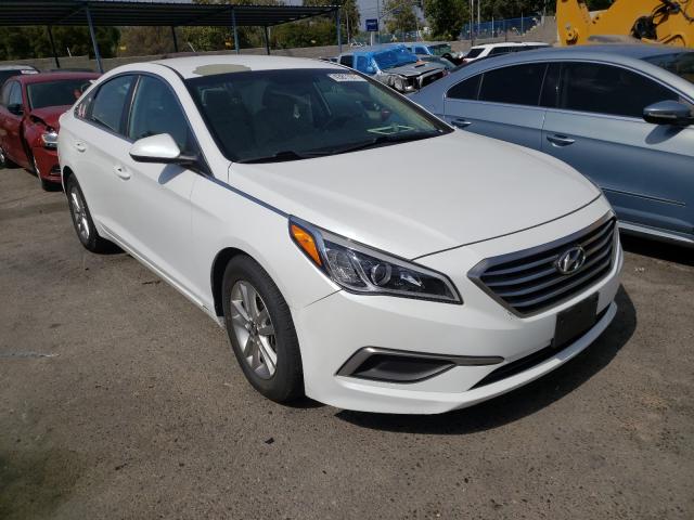 HYUNDAI SONATA 2017 5npe24af9hh512896