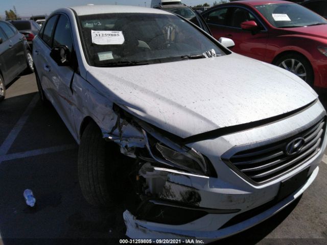 HYUNDAI SONATA 2017 5npe24af9hh529083