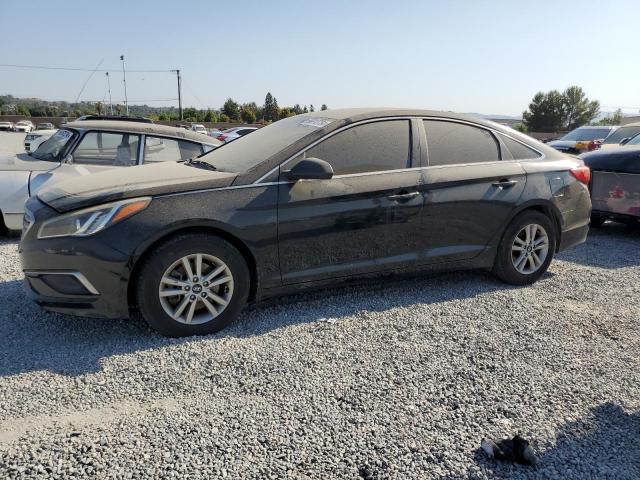 HYUNDAI SONATA 2017 5npe24af9hh543856