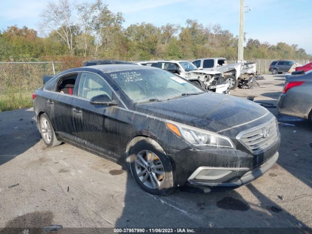 HYUNDAI SONATA 2017 5npe24af9hh554260