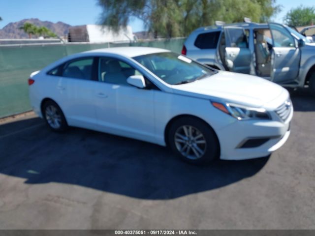 HYUNDAI SONATA 2017 5npe24af9hh559569