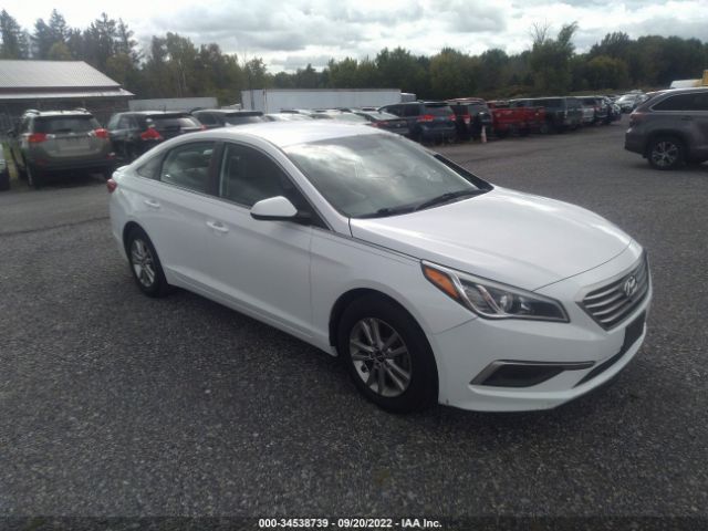 HYUNDAI SONATA 2017 5npe24af9hh563217