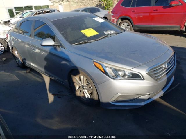 HYUNDAI SONATA 2017 5npe24af9hh564786