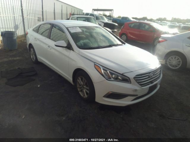 HYUNDAI SONATA 2017 5npe24af9hh582897