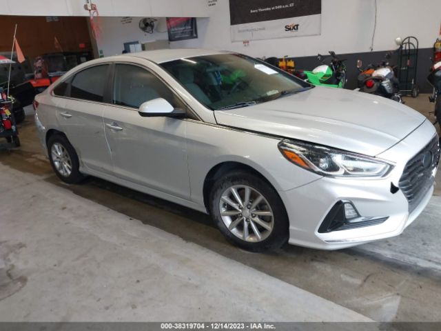 HYUNDAI SONATA 2018 5npe24af9jh597843