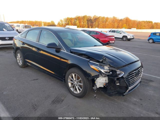 HYUNDAI SONATA 2018 5npe24af9jh598538