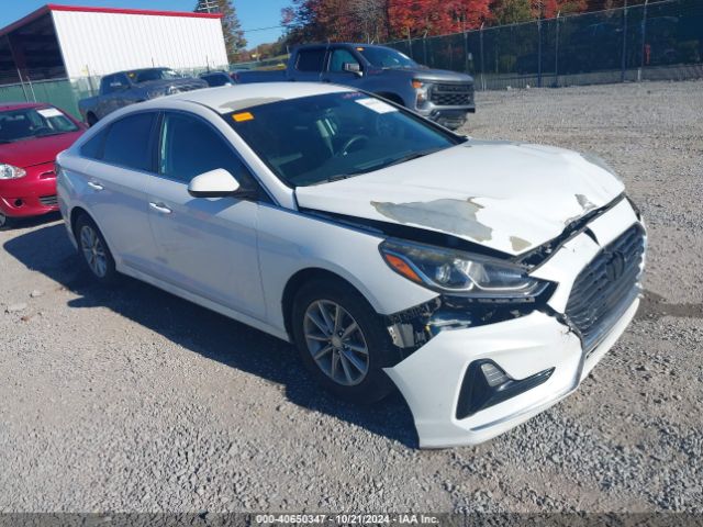 HYUNDAI SONATA 2018 5npe24af9jh619744