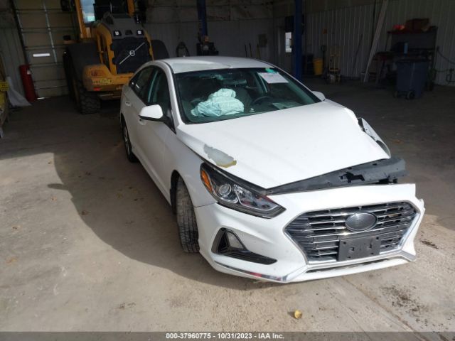 HYUNDAI SONATA 2018 5npe24af9jh672234