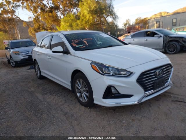 HYUNDAI SONATA 2018 5npe24af9jh694850