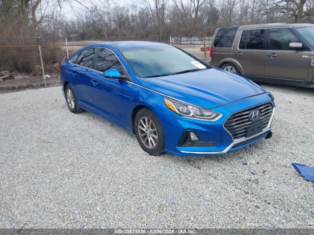 HYUNDAI SONATA 2018 5npe24af9jh705202