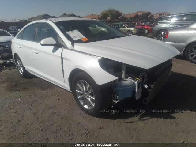 HYUNDAI SONATA 2018 5npe24af9jh725143