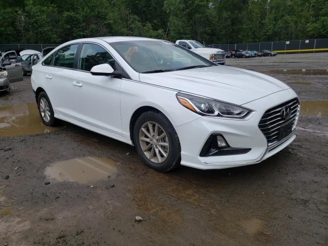 HYUNDAI SONATA SE 2019 5npe24af9kh730442