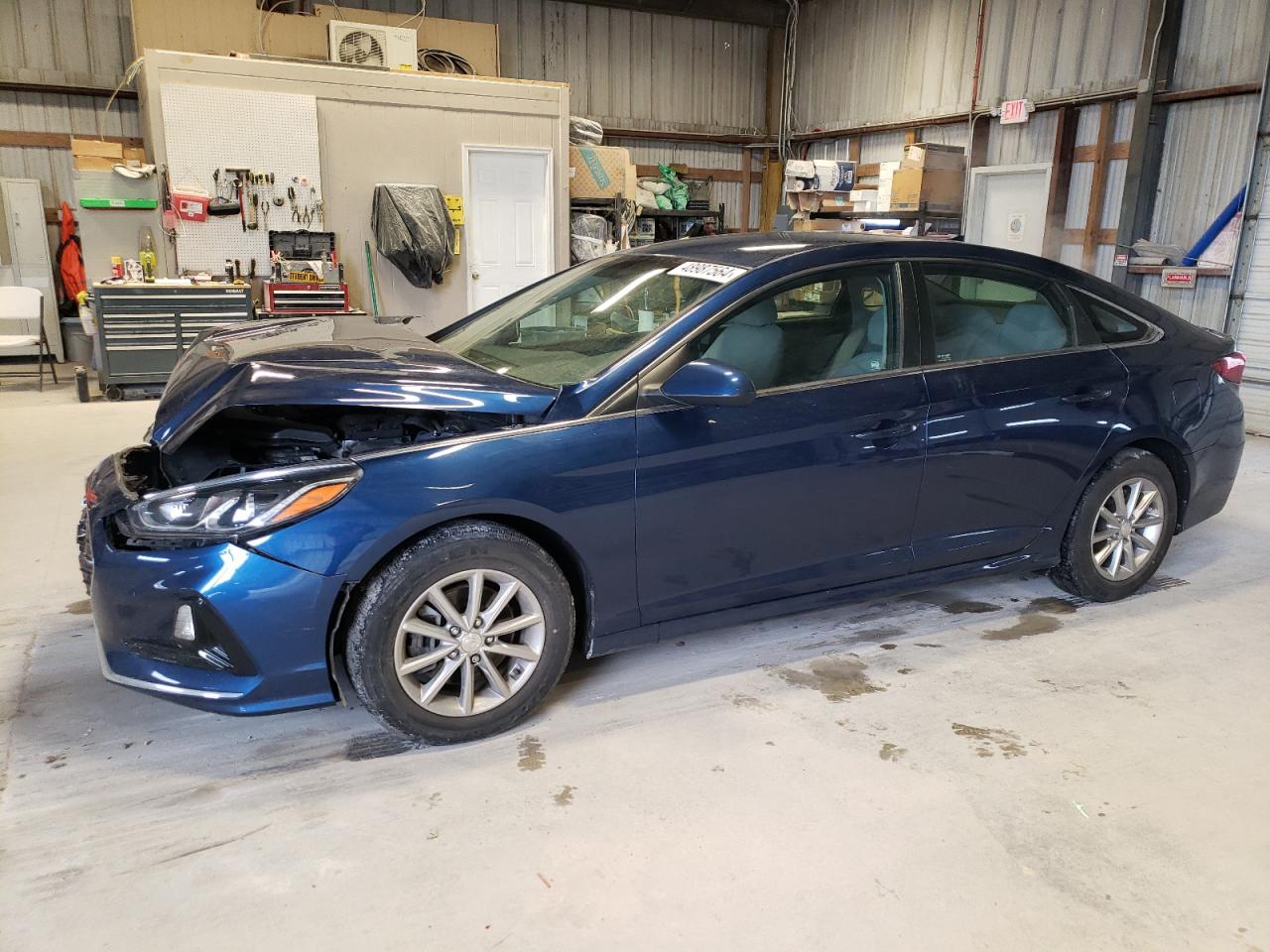 HYUNDAI SONATA 2019 5npe24af9kh730487