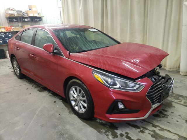 HYUNDAI SONATA SE 2019 5npe24af9kh731123