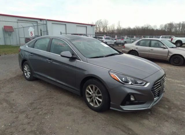 HYUNDAI SONATA 2019 5npe24af9kh731753