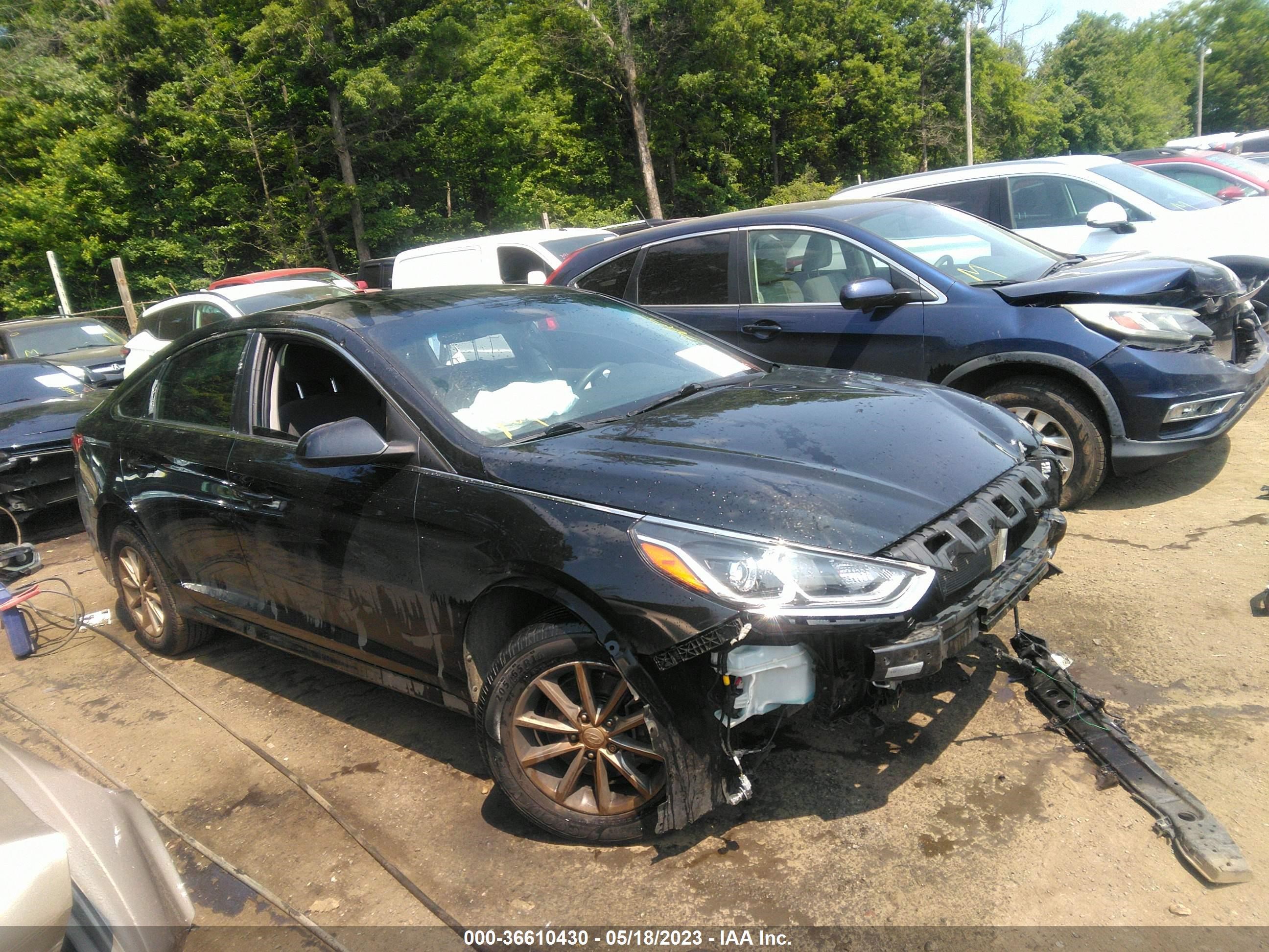 HYUNDAI SONATA 2019 5npe24af9kh731834