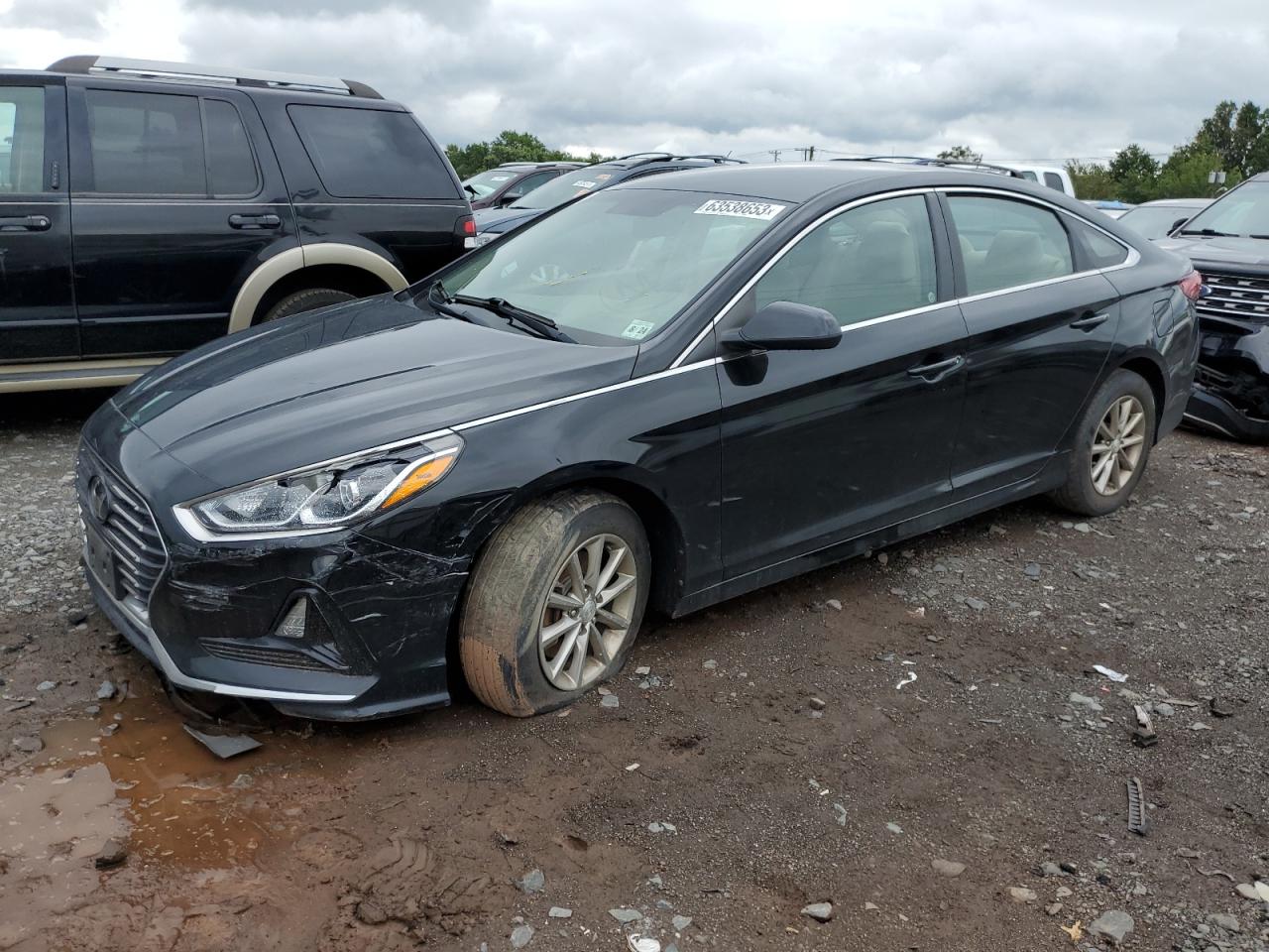 HYUNDAI SONATA 2019 5npe24af9kh732708