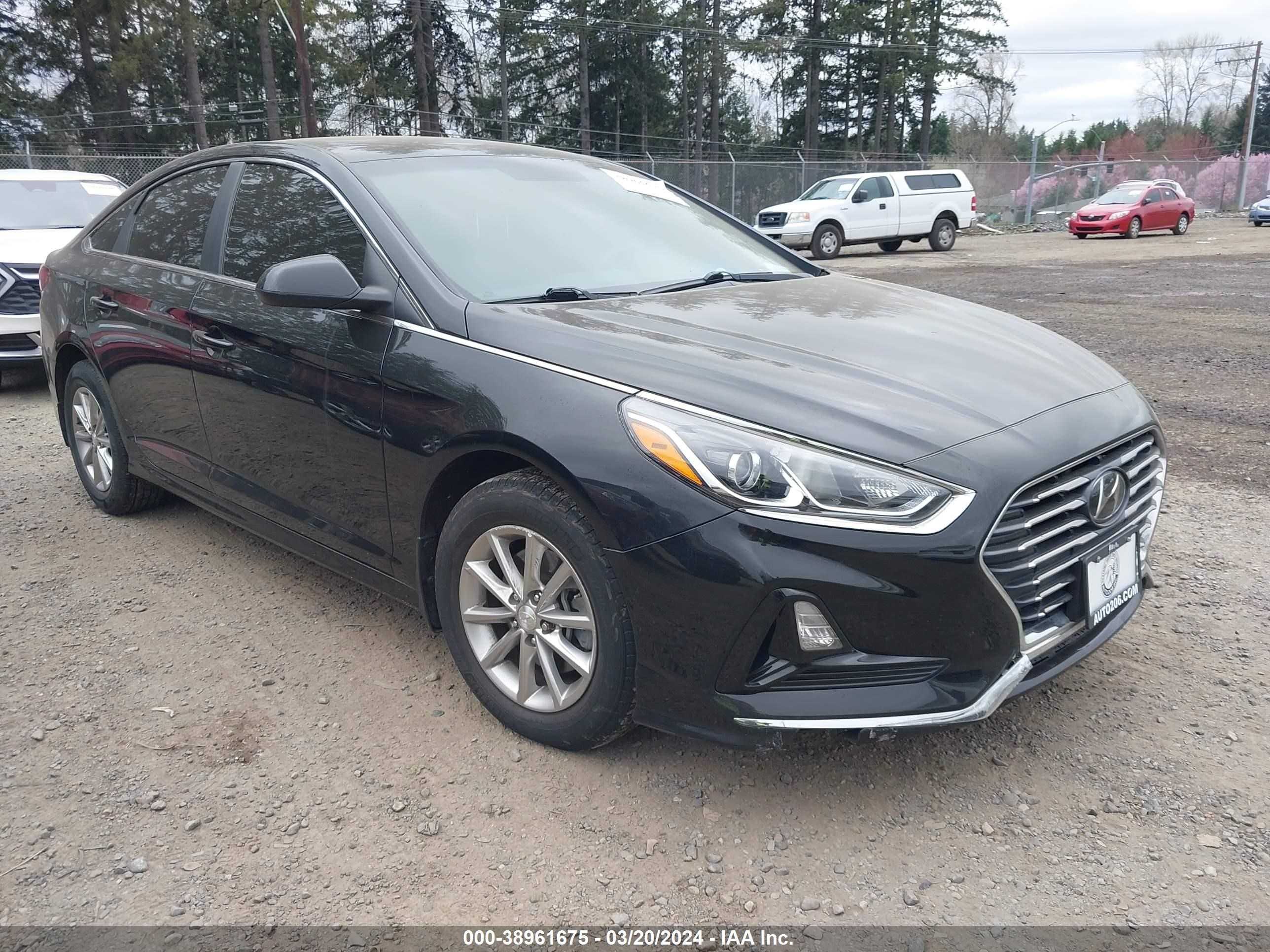 HYUNDAI SONATA 2019 5npe24af9kh736256