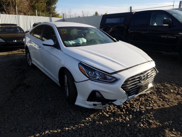 HYUNDAI SONATA SE 2019 5npe24af9kh738055