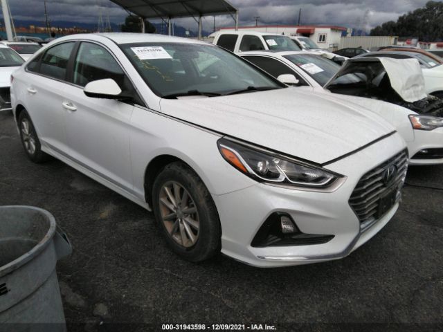 HYUNDAI SONATA 2019 5npe24af9kh739965