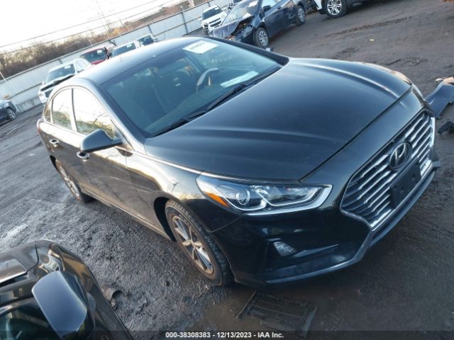 HYUNDAI SONATA 2019 5npe24af9kh740520