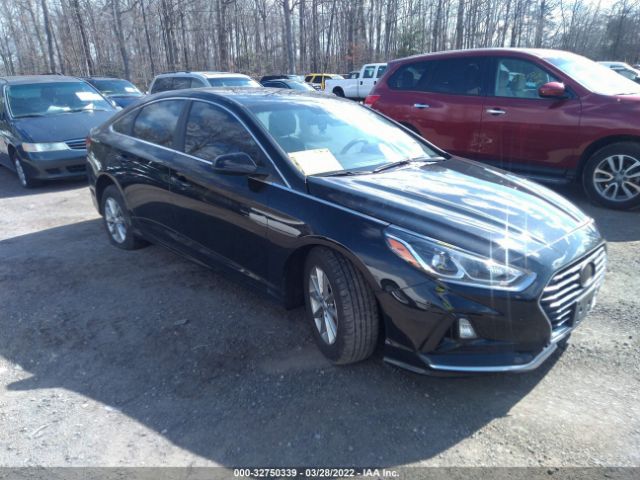 HYUNDAI SONATA 2019 5npe24af9kh741022