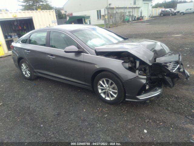 HYUNDAI SONATA 2019 5npe24af9kh741229