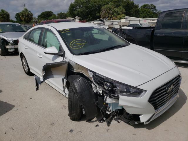 HYUNDAI SONATA SE 2019 5npe24af9kh744020