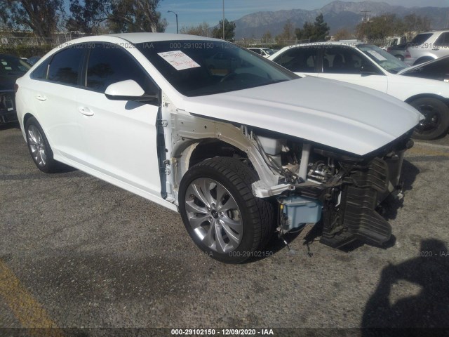 HYUNDAI SONATA 2019 5npe24af9kh747659