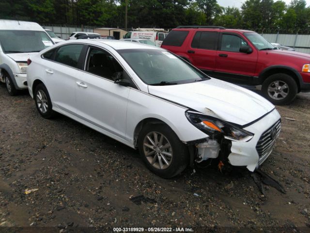 HYUNDAI SONATA 2019 5npe24af9kh747998