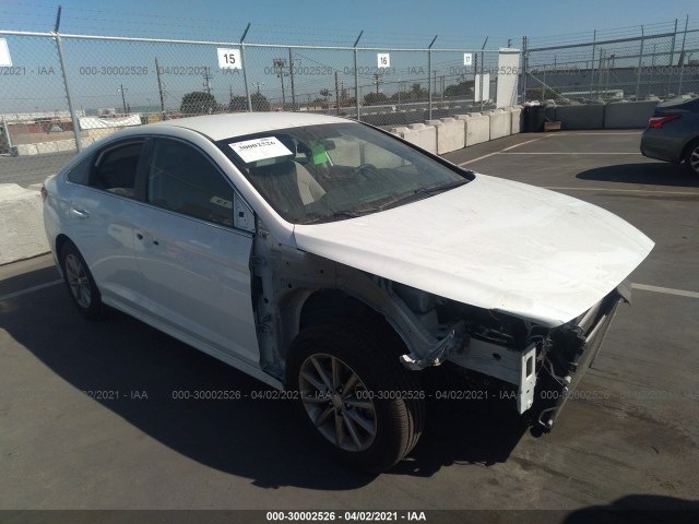 HYUNDAI SONATA 2019 5npe24af9kh748116