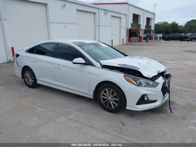 HYUNDAI SONATA 2019 5npe24af9kh752358