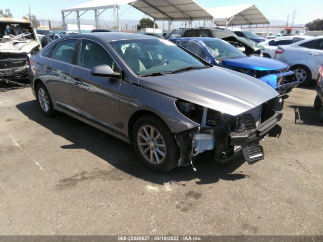 HYUNDAI SONATA 2019 5npe24af9kh752473