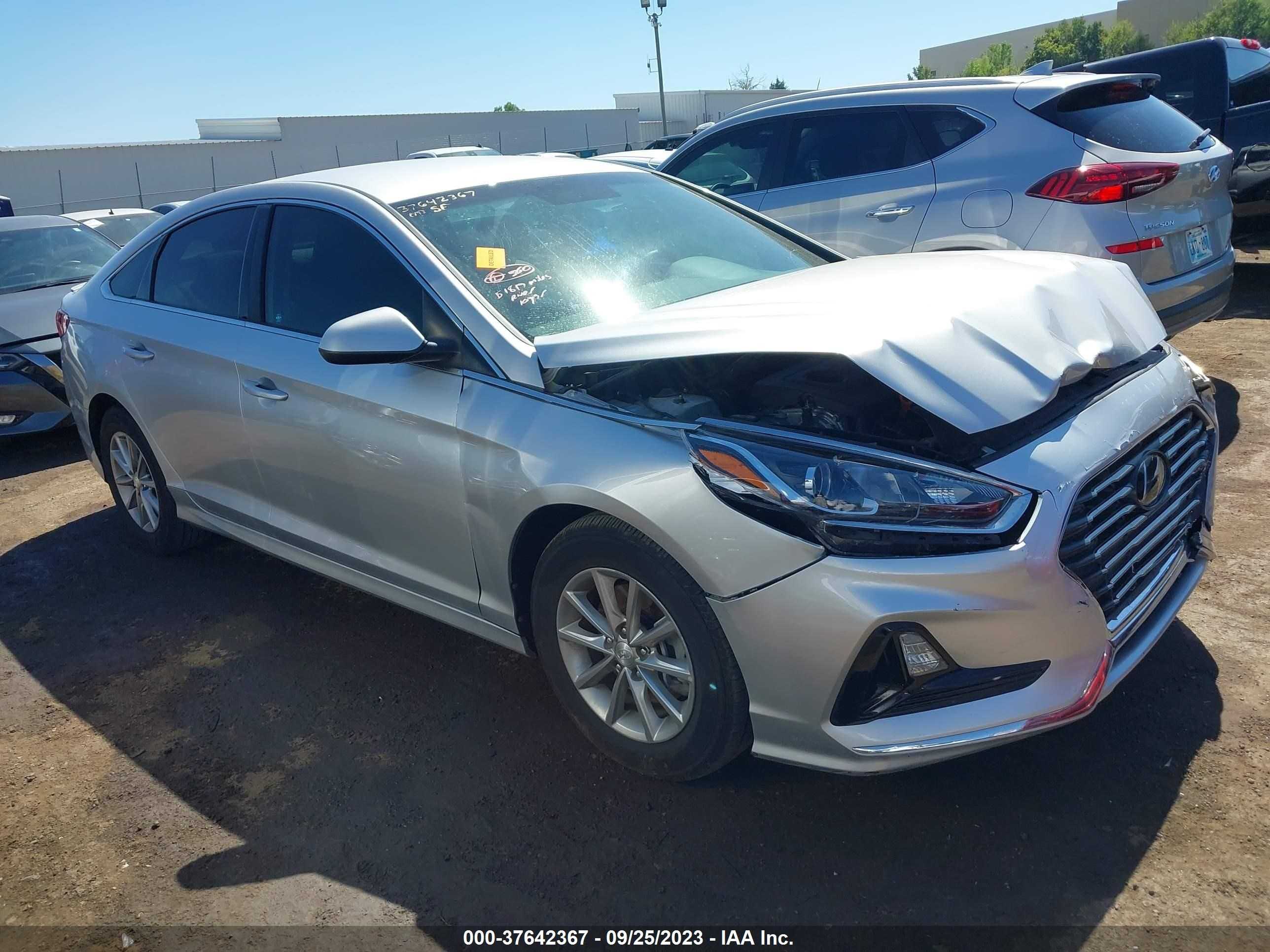 HYUNDAI SONATA 2019 5npe24af9kh753770