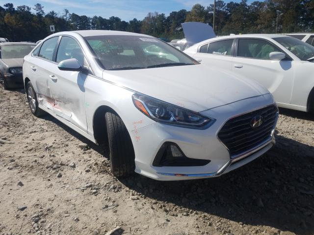 HYUNDAI SONATA SE 2019 5npe24af9kh755213