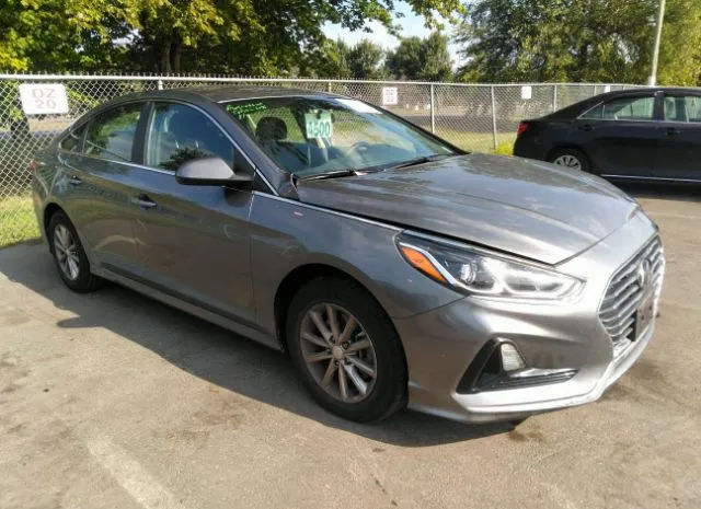 HYUNDAI SONATA 2019 5npe24af9kh755826