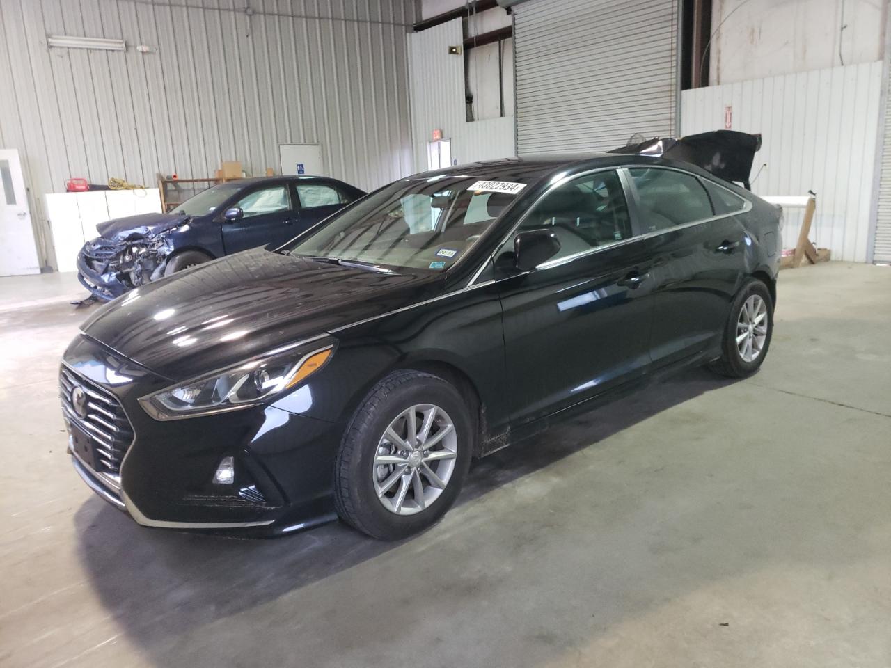 HYUNDAI SONATA 2019 5npe24af9kh755891